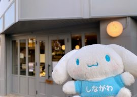équilibre（エキリーブル）